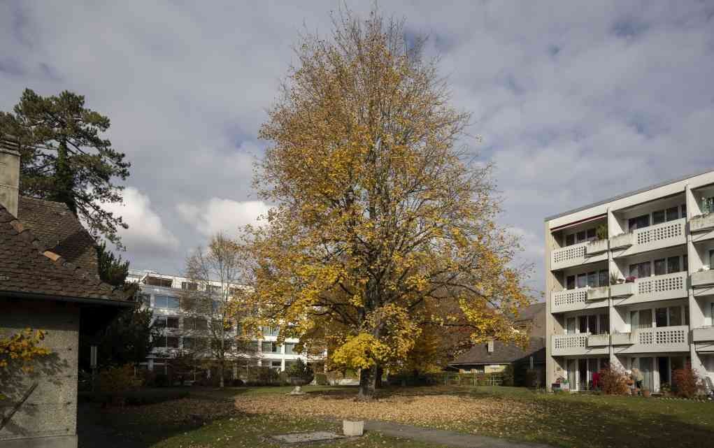 Alterssiedlung mit Sicht auf Gebäude Haus im Park